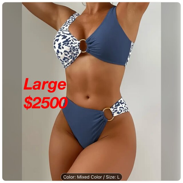 Swimsuit