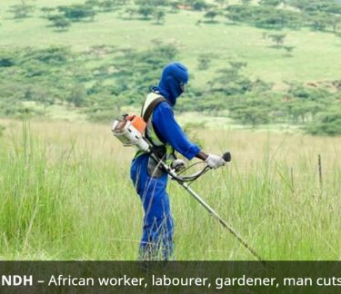 YARD CLEANING JOB AVAILABLE