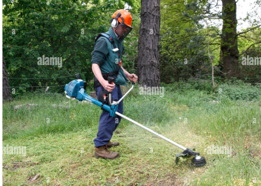 YARD CLEANING JOB AVAILABLE