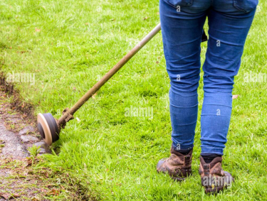 YARD CLEANING JOB AVAILABLE