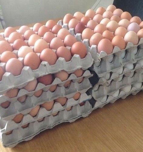 Farm Fresh Eggs