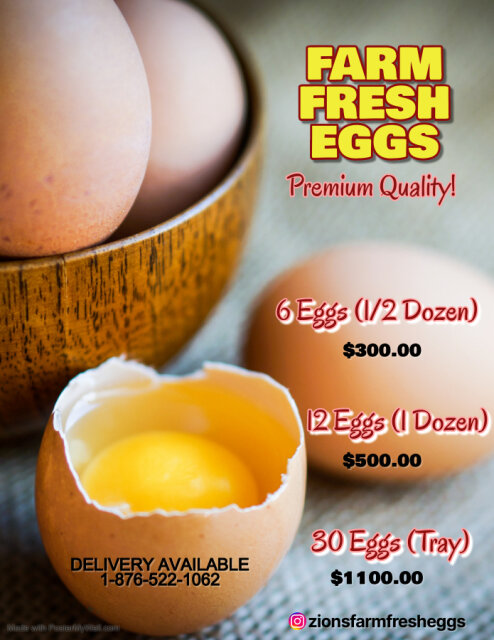 Farm Fresh Eggs