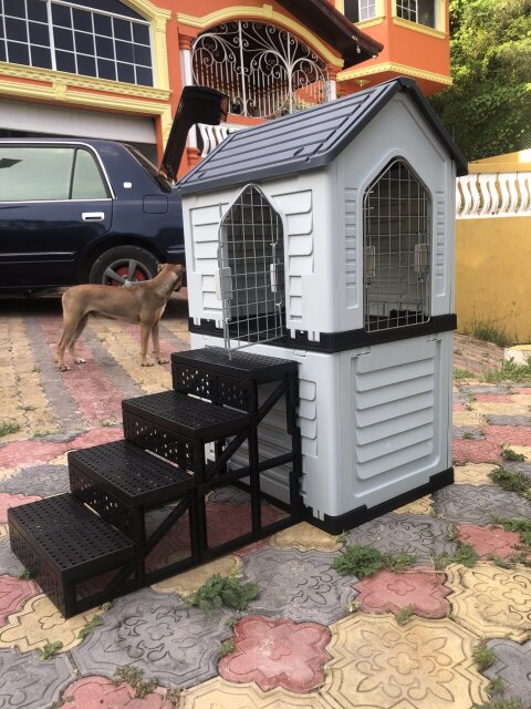 Dog House