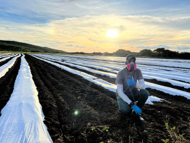 Farm Workers