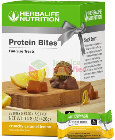 Protein Bites (Control Hunger) 420g Healthcare Services JoelServices