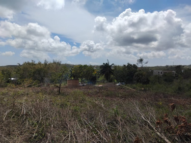 Pristine And Peaceful Hill Top Land Available!