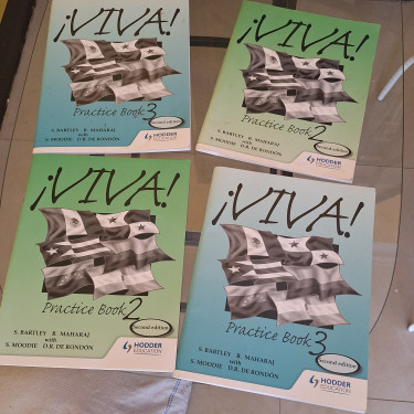 ¡Viva! Practice Books 2 And 3