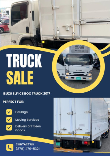 2017 Isuzu Elf Ice Box Truck 