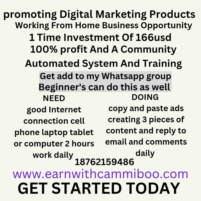 Transform Your Life With 2 Hours Work Daily Online