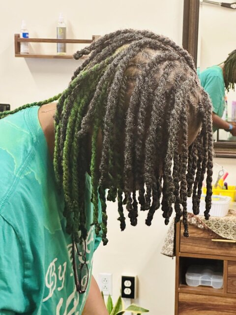 Dreadlocks Dreadlocs Locs