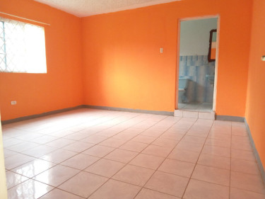 2 Bedrooms 2 Bathrooms For Rent Mandeville