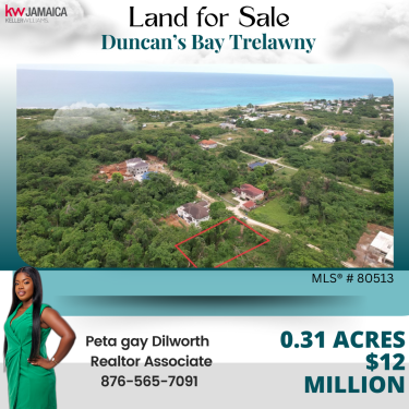 0.31 Land For Sale Duncan’s Bay Trelawny 