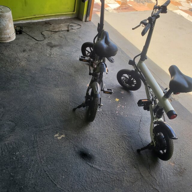 Adult Electric Bikes