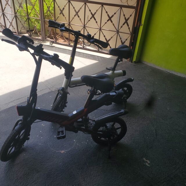 Adult Electric Bikes