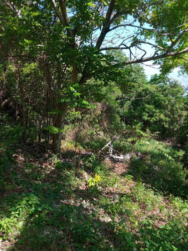 1.4 Acres Residential Land