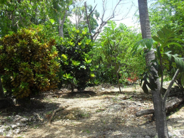 1.4 Acres Residential Land