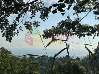 6 Acres Of Land Land Jacks Hill