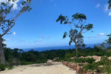 Ocean View Lots For Sale Three Hills St Mary