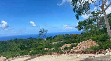 Ocean View Lots For Sale Three Hills St Mary