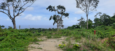Ocean View Lots For Sale Three Hills St Mary