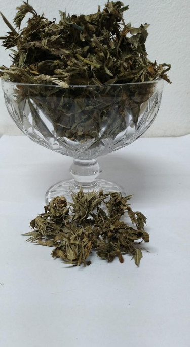 Camlor Organics: Your Trusted Supplier Of Premium 