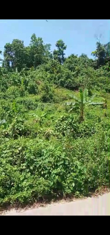 1/2 Acre Land