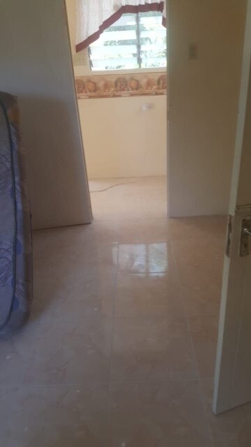 Self Contained 1 Bedroom Unit For Rent Apartments Kingston  6 Mona