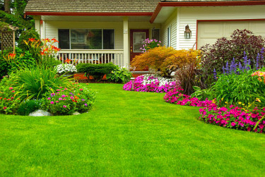 PROFESSIONAL GARDENING/ LANDSCAPE MAINTENANCE