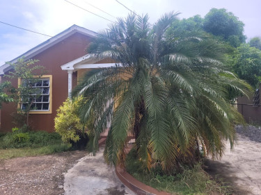 2 Bedroom 1 Bathroom House Located In Magil Palm