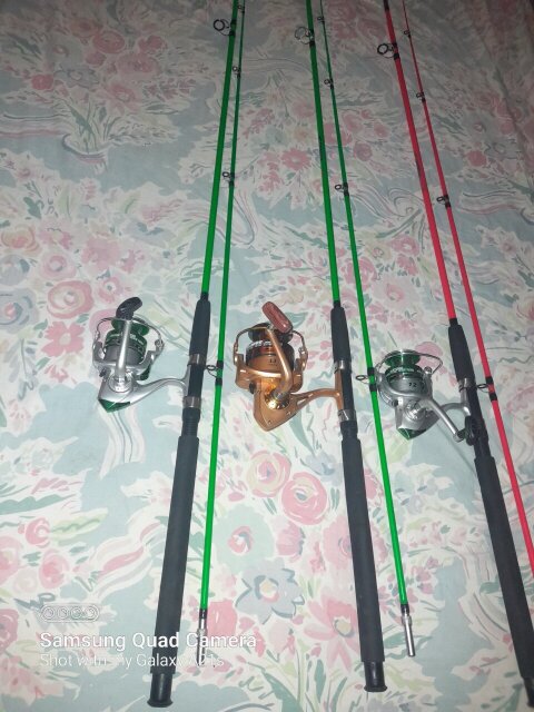 Fishing Rods With Reels