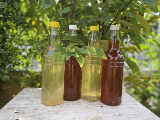 Pure Honey  And Coconut Oil