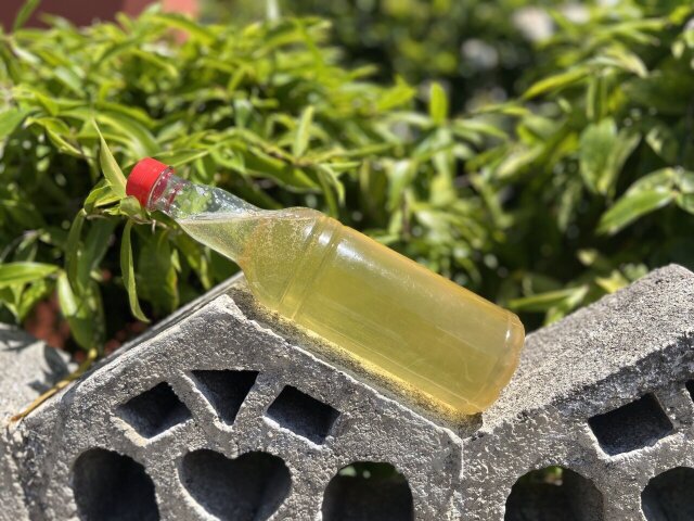 Pure Honey  And Coconut Oil