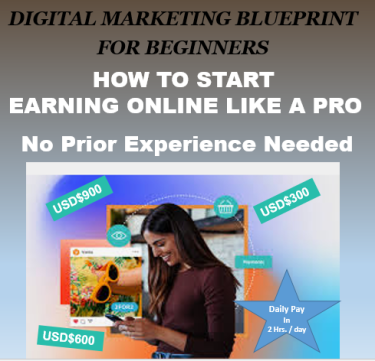 Earn Upwards Of USD$300/day - Digital Marketing