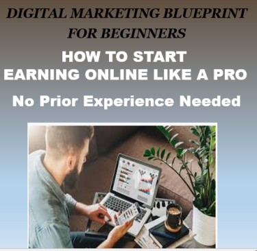 Beginners Learn Digital Marketing-Earn USD$300/day