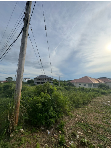 1/4 Acres, Twin Palm Estate Clarendon 