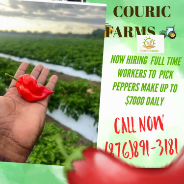 Pepper Farm 