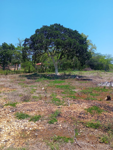 3 Acres Of Land In Lennon Hill/Treasure Beach 