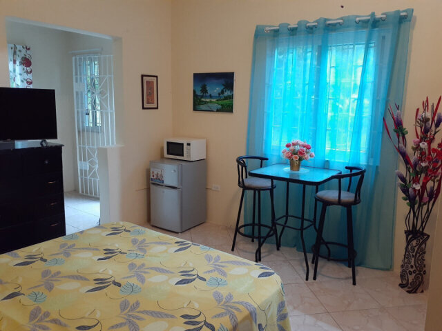 FURNISHED 1 Bedroom Apt For Rent (ST ANN!!)