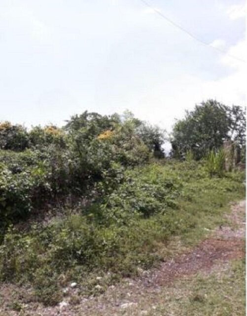 IRWIN HEIGHTS LOTS FOR SALE $8.5MILLION UPWARDS