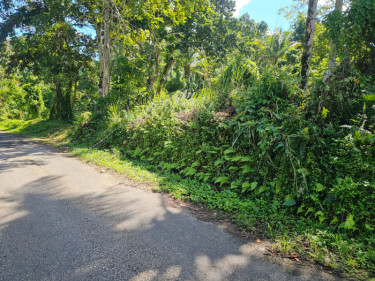 2 Acres Lot Mount Horeb