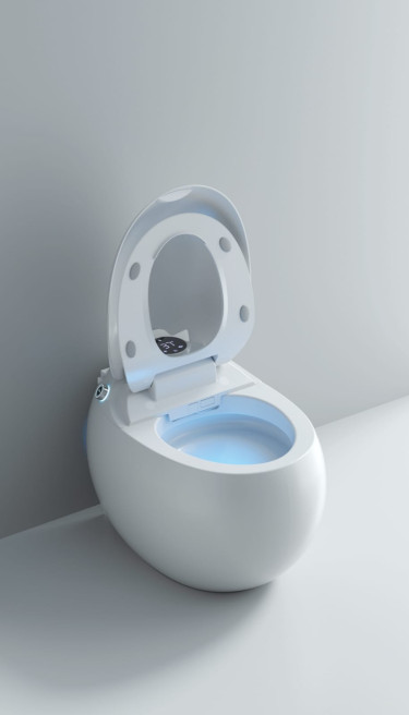 Smart Toilet