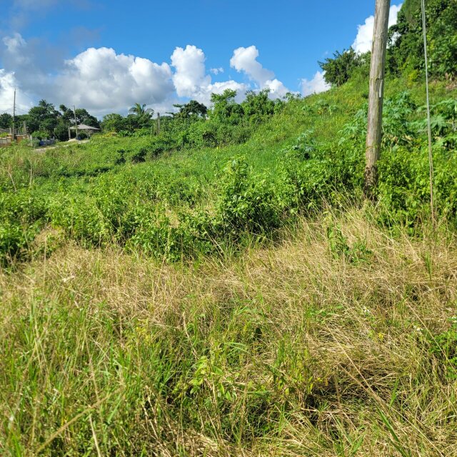 0.62 Acres Of Residential/Development Land