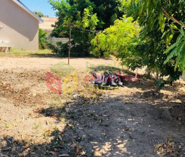 3 Bedroom