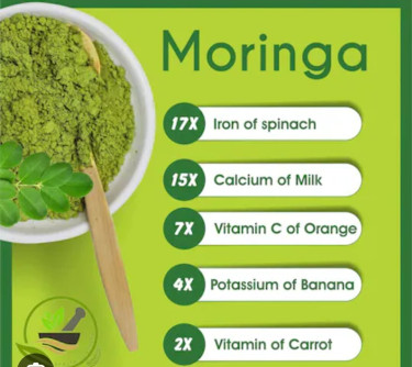 Moringa Powder For Sale