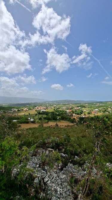 Quarter And Half Acre Lots