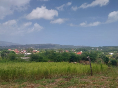 Quarter And Half Acre Lots Land Red Bank