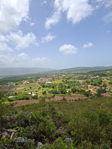 Quarter And Half Acre Lots