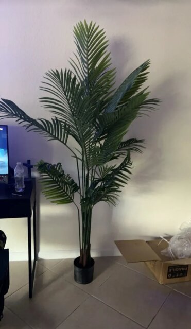 Artificial Palm Plant