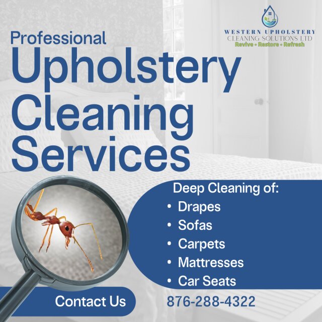 Upholstery Cleaning Services