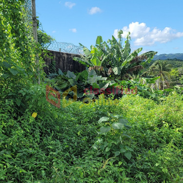 5536.98 Sq Ft Of Land Next To The Linstead Police 